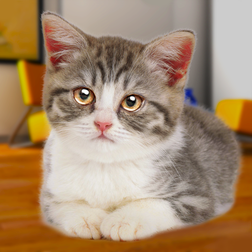 話す猫おかしい