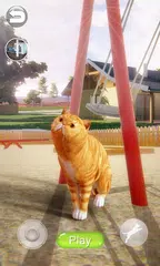 Sprechende Kurzhaarkatze XAPK Herunterladen