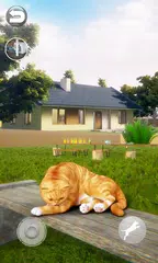 Sprechende Kurzhaarkatze XAPK Herunterladen