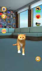 Sprechende Kurzhaarkatze XAPK Herunterladen