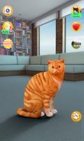 Talking Shorthair Cat screenshot 1