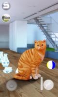 Talking Shorthair Cat screenshot 3