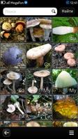 3 Schermata Энциклопедия грибов и ягод
