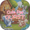 Cute Pet Burst APK