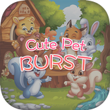 Cute Pet Burst