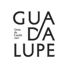 Beatificación Guadalupe Ortiz  icône