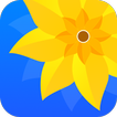 Gallery icon