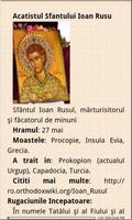 Biblioteca Ortodoxă Romanească poster