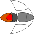 Flap Nave
