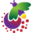 Firefly icon