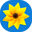 Gallery icon