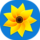 Gallery APK