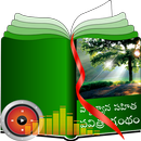 Telugu Study Bible APK