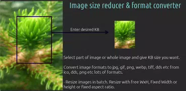 Image Size Reducer MB to KB