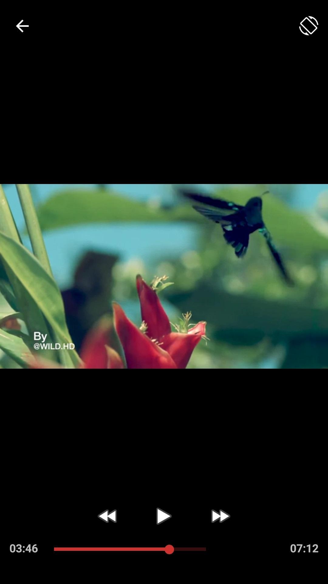 HD Player APK for Android Download