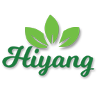 Hiyang International icône