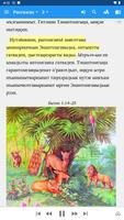 Библиякэн пыӈыԓтэԓтэ imagem de tela 1