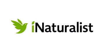 iNaturalist (愛自然)