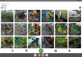 برنامه‌نما iNaturalist عکس از صفحه