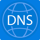 APK IntraNIC DNS