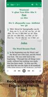 Bible in Dan Blowo (Yacouba) screenshot 3