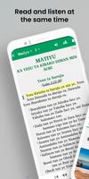 Bible in Jula - with audio poster