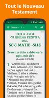 Bible in Nyaboa with audio poster