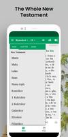 Kroumen Tepo Bible - NT, audio screenshot 2