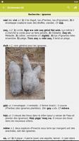 Dictionnaire dii Cartaz