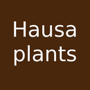 Hausa Plant Names APK