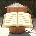 Wamey Lectionary + Bible icon