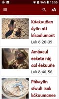 Miracles in Karoninka imagem de tela 3