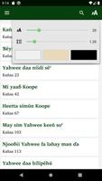Psaumes en ndut, Bible, chants imagem de tela 2