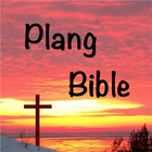 Plang Bible icône