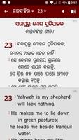 Odiya Bible (ଓଡିଆ ବାଇବଲ) Ekran Görüntüsü 3