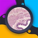 HistoLogic APK