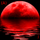 Tide forecast Adriatic sea icon