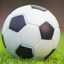Slovní fotbal APK