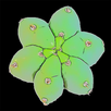 Cactus Seed Counter APK