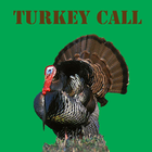 Turkey Call Free-icoon