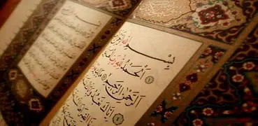 القرآن المجيد Quran Majeed