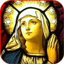 Hymns to Blessed Virgin Mary APK