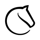 lichess icon