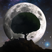 3D Moon Tree Live Wallpaper