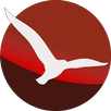 LK8000 Beta APK