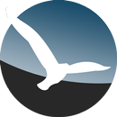 LK8000 APK