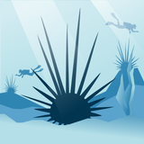 Dive4Diadema APK