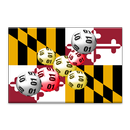 Maryland winning numbers APK