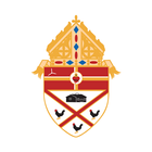 PTDiocese ícone