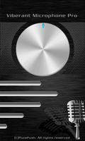 Megaphone Loud Speaker Pro Amp Poster